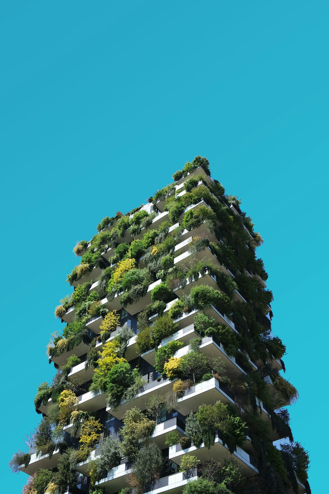 Sustainable Design