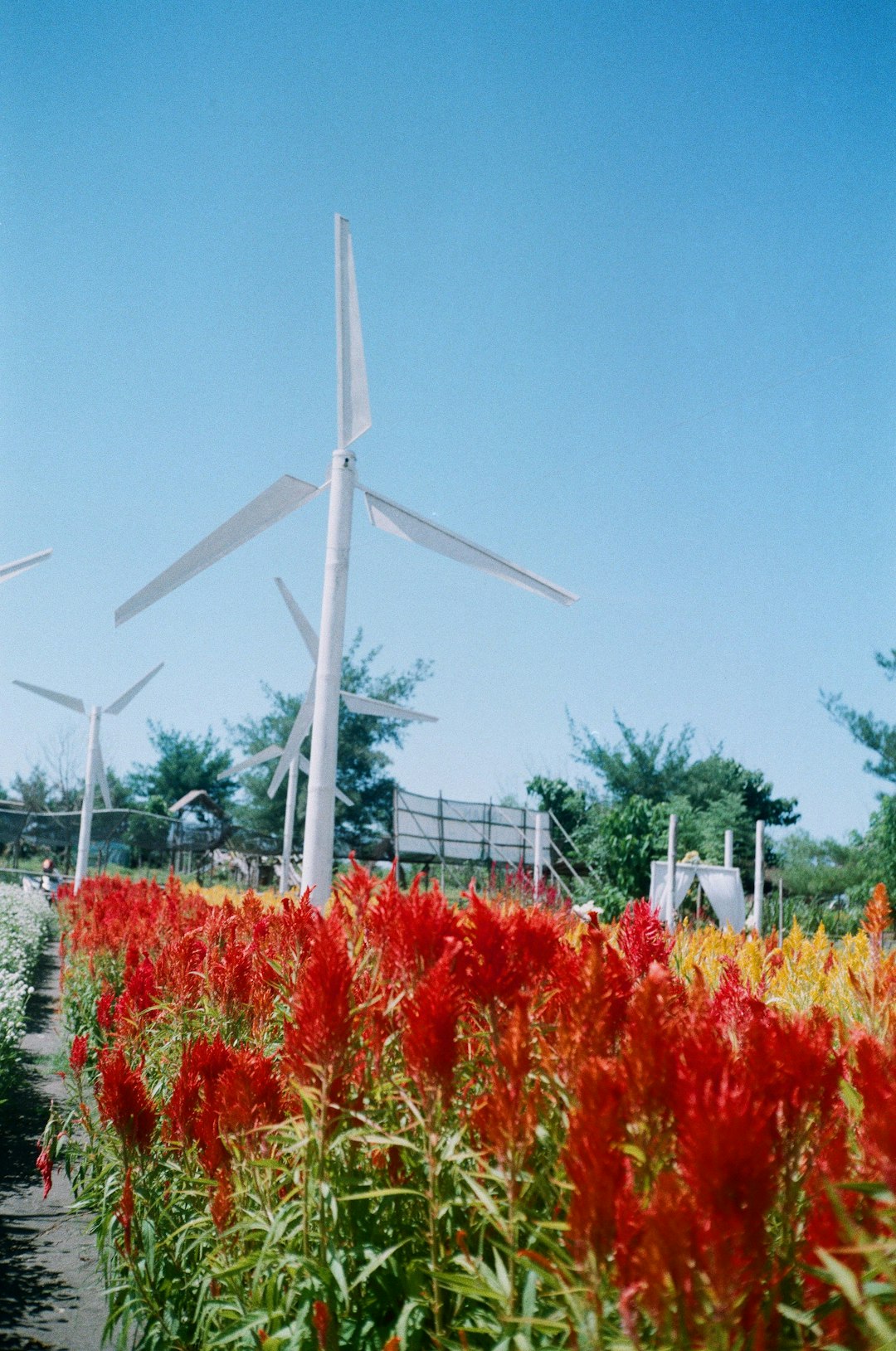 Zero Energy Industrial Building